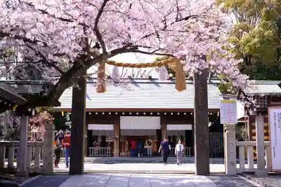 伊勢山皇大神宮の鳥居