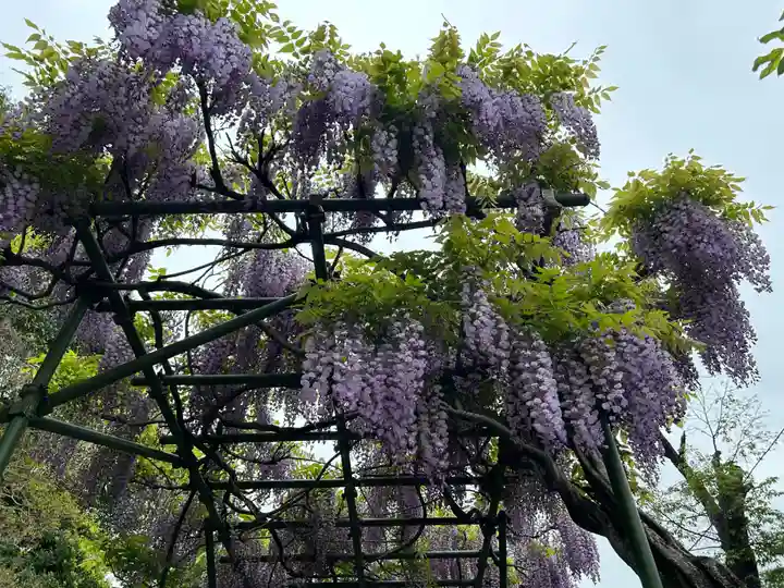 清宝院(東京都)