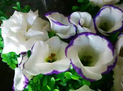 星置神社(北海道)