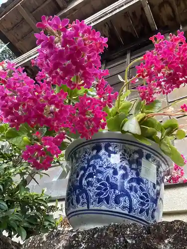 恵利寺の庭園