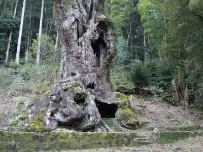武雄神社の{uncategorized: "未分類", other: "その他", undefined: "問題あり", building: "その他建物", grave: "お墓", sacred_gate: "鳥居", guardian: "狛犬", statue: "像", buddha: "仏像", history: "歴史", nature: "自然", garden: "庭園", animal: "動物", pagoda: "塔", temizu: "手水舎", mountain_gate: "山門・神門", sanctuary: "本殿・本堂", subordinate: "末社・摂社", art: "芸術", scenery: "景色", jizo: "地蔵", ema: "絵馬", goshuin: "御朱印", omikuji: "おみくじ", items: "授与品その他", amulet: "お守り", goshuincho: "御朱印帳", eats: "食事", festival: "お祭り", votive_dance: "神楽", shichigosan: "七五三参", wedding: "結婚式", experience: "体験その他", initially: "初詣", around: "周辺", anti_infection: "感染症対策"}