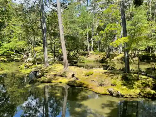 西芳寺(京都府)