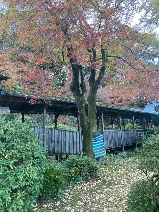 永勝寺の庭園