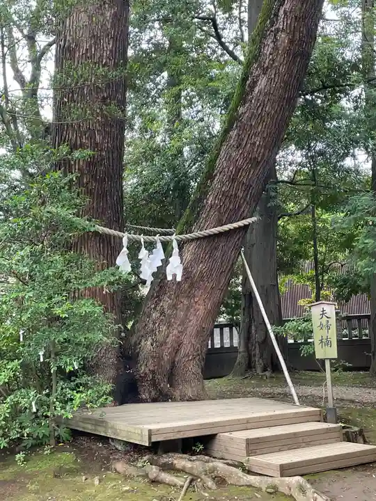 武蔵一宮氷川神社(埼玉県)