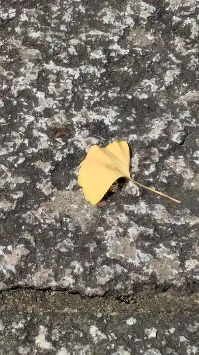 松ヶ崎大黒天 妙圓寺(妙円寺)(京都府)