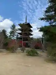 仁和寺の塔