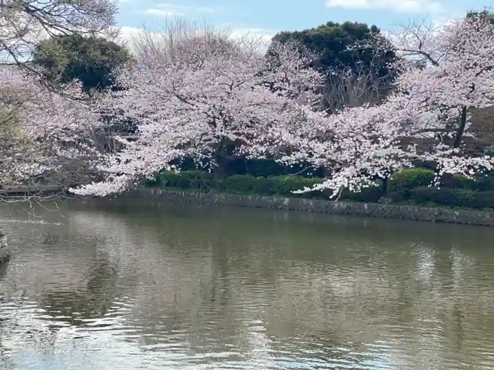 鶴岡八幡宮の自然
