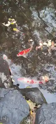 熱田神宮(愛知県)