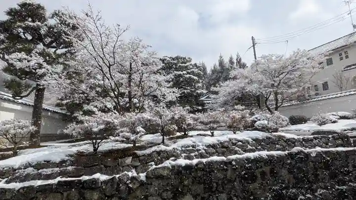 圓光寺(京都府)
