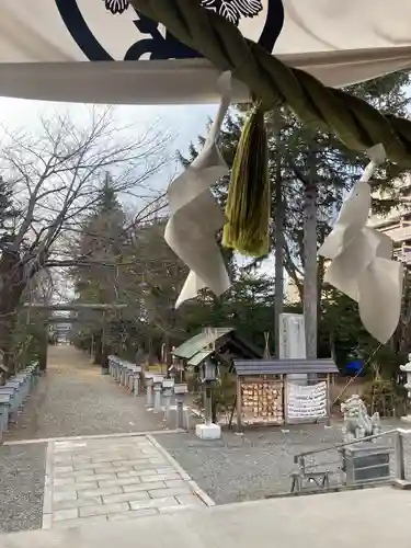 信濃神社の鳥居