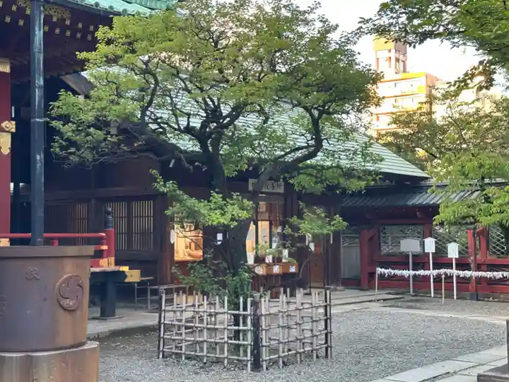 根津神社(東京都)