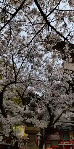 瓢箪山稲荷神社(大阪府)