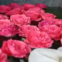 三津厳島神社の手水舎