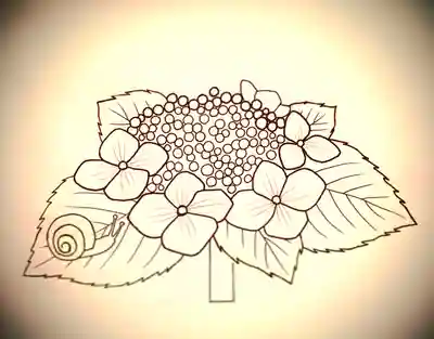 ６月の御朱印に添える絵柄（額あじさい）
