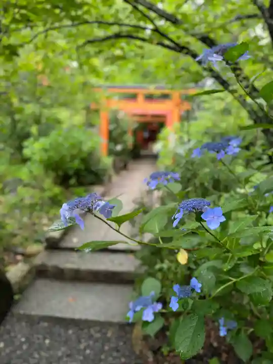 平野神社(京都府)