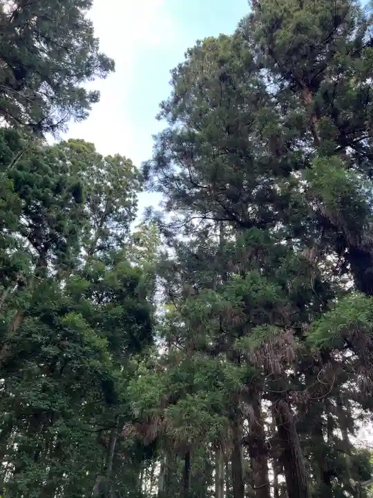 大宮温泉神社(栃木県)