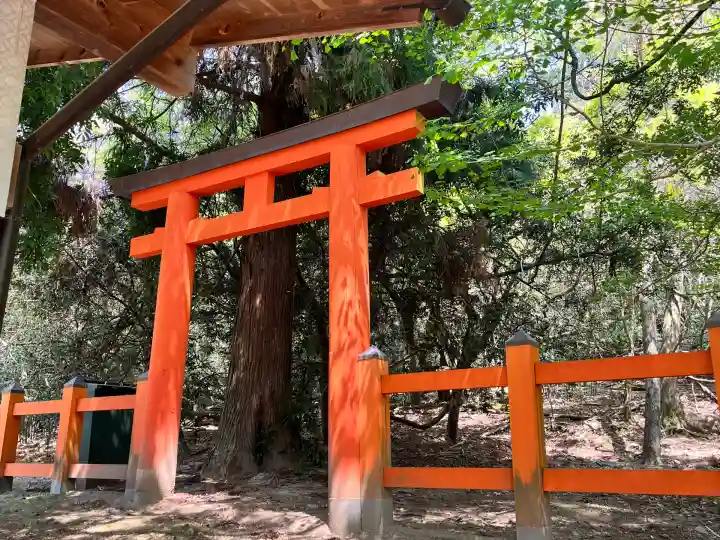 春日大社(奈良県)