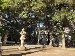 赤坂氷川神社の建物その他