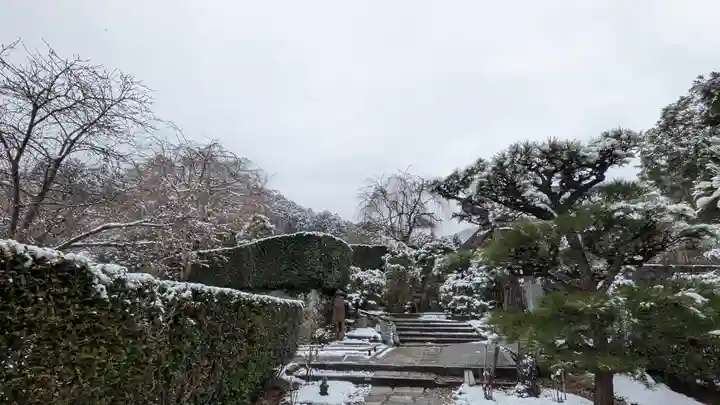 圓光寺(京都府)