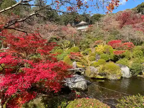 三室戸寺(京都府)