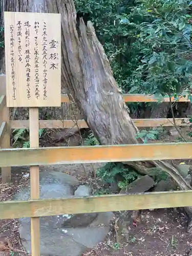 鹿島神宮の自然