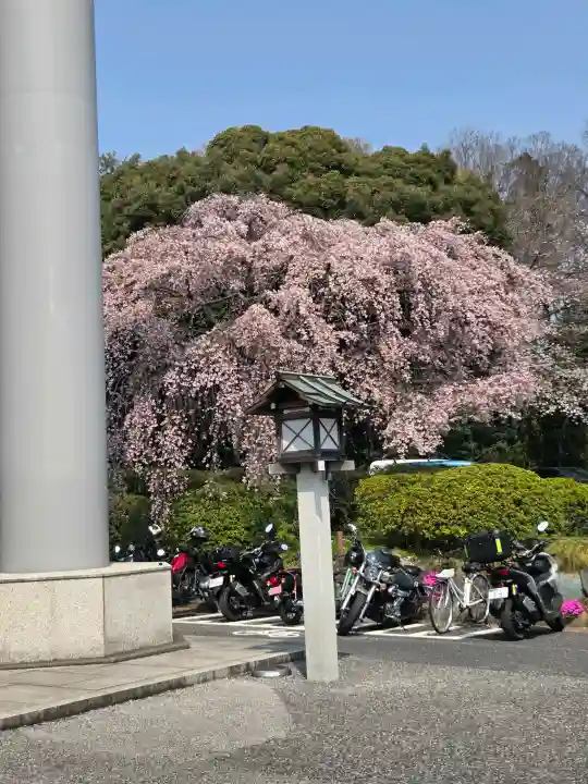 櫻木神社の{uncategorized: "未分類", other: "その他", undefined: "問題あり", building: "その他建物", grave: "お墓", sacred_gate: "鳥居", guardian: "狛犬", statue: "像", buddha: "仏像", history: "歴史", nature: "自然", garden: "庭園", animal: "動物", pagoda: "塔", temizu: "手水舎", mountain_gate: "山門・神門", sanctuary: "本殿・本堂", subordinate: "末社・摂社", art: "芸術", scenery: "景色", jizo: "地蔵", ema: "絵馬", goshuin: "御朱印", omikuji: "おみくじ", items: "授与品その他", amulet: "お守り", goshuincho: "御朱印帳", eats: "食事", festival: "お祭り", votive_dance: "神楽", shichigosan: "七五三参", wedding: "結婚式", experience: "体験その他", initially: "初詣", around: "周辺", anti_infection: "感染症対策"}