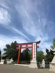 北海道護國神社の鳥居