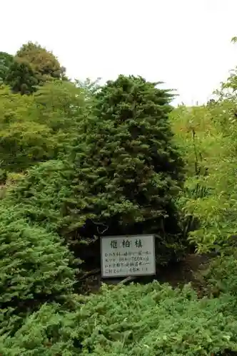 勧修寺の自然