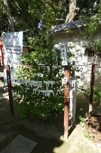 上新田天神社のおみくじ