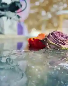 札幌諏訪神社の手水舎(2022年01月18日(火) 11時56分12秒投稿)