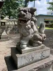 末広稲荷神社の狛犬