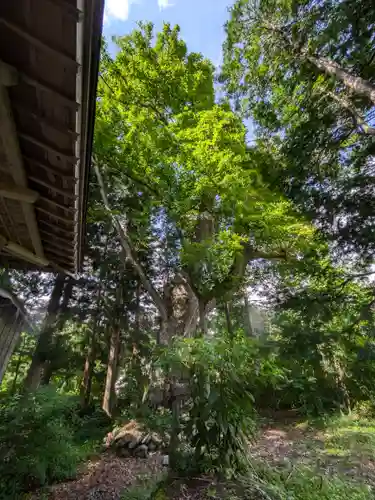 鹿島神社(福島県)