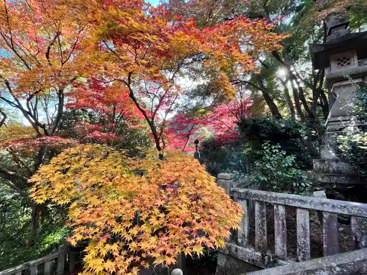 柳谷観音 楊谷寺(京都府)