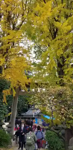 葛西神社の鳥居