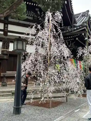 頂法寺（六角堂）(京都府)
