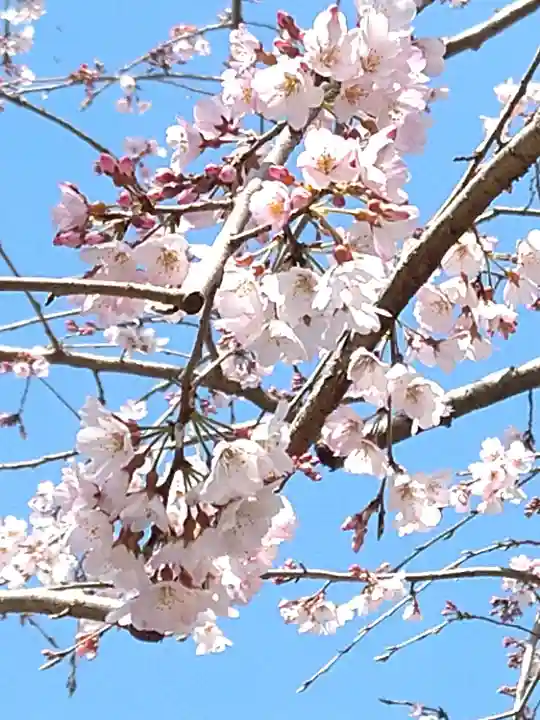 金剛院(東京都)