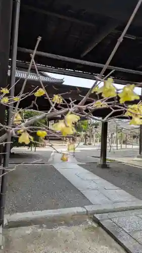 本法寺(京都府)