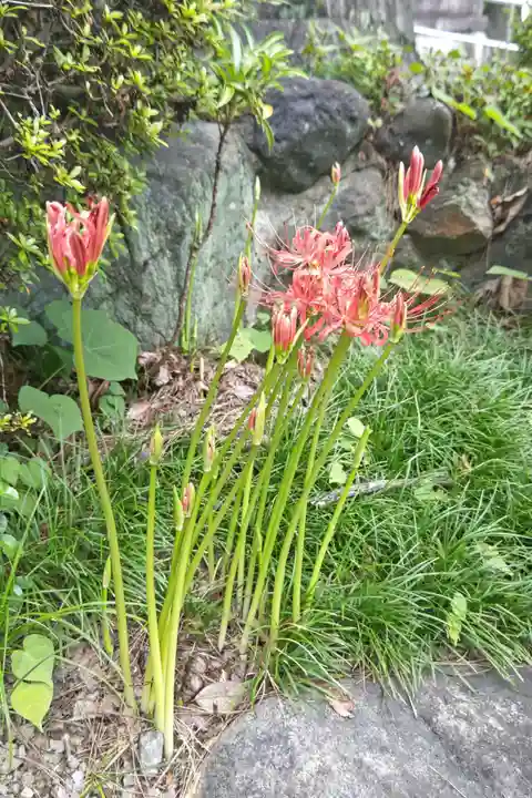 結神社(岐阜県)