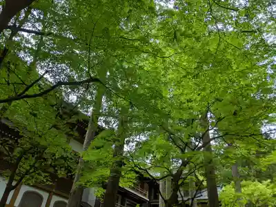 永平寺(福井県)