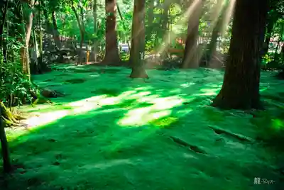 都農神社(宮崎県)