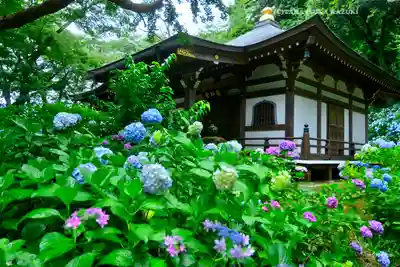 妙楽寺(神奈川県)