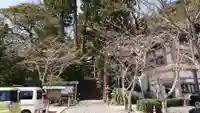 高瀧神社の自然