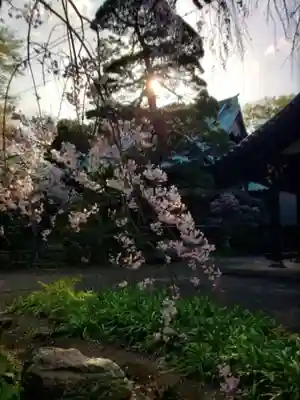 龍光寺(東京都)