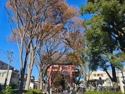 武蔵一宮氷川神社(埼玉県)