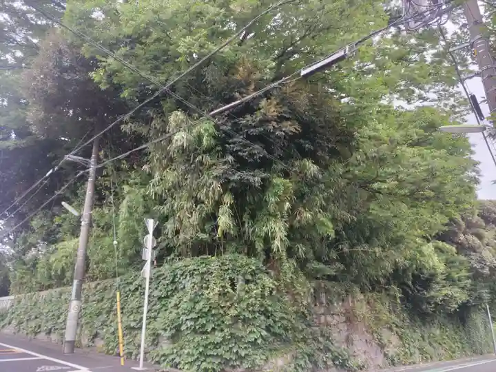 玉川神社の自然