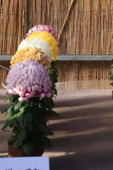 橿原神宮(奈良県)