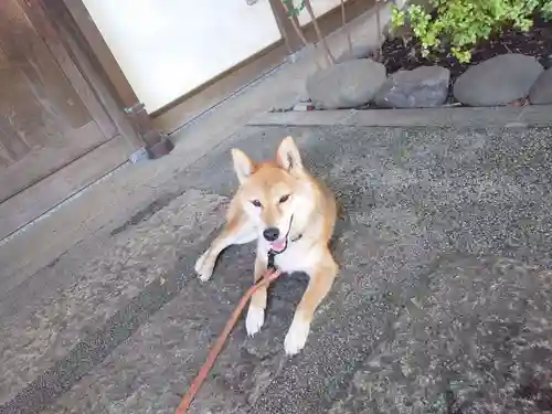 感通寺(東京都)