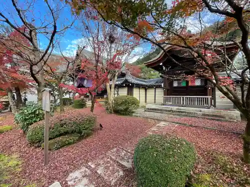 禅林寺（永観堂）(京都府)