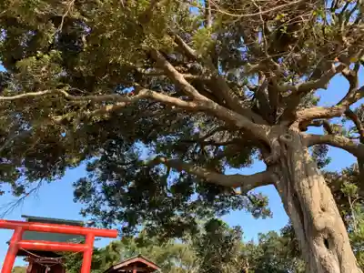 鏡峯神社の自然