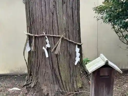 伊奈冨神社(三重県)